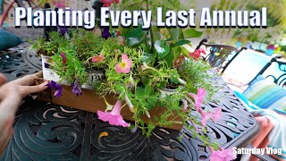 Planting Tropical Containers & Sad Annuals || Saturday Vlog