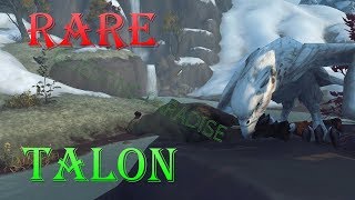 RARE - Talon - Drustvar - Battle for Azeroth - Wow