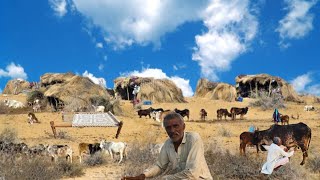 How do people live in the desert life village in pakistan