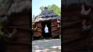 из игры,, волк и яйца,, #shortvideo #subscribe #shorts #волк #яйца #яйцосюрприз #игры #приколы