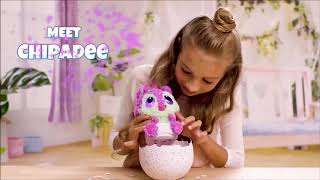 Hatchimals HatchiBabies   Chipadee Exclusive  Smyths Toys