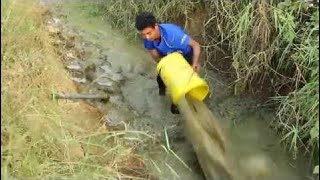 wow Amazing Fishing - Cambodia Traditional fishing - How to Catches Fish (Part 143)