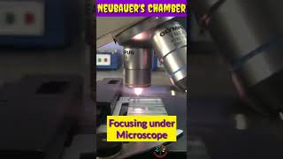 Haemocytometer ll Neubauer’s Chamber ll #shorts