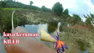 UMPAN KAYAK KERAMAT UNTUK MANCING IKAN GABUS DAPAT BANYAK