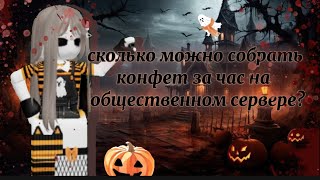 сколько можно собрать конфет за час на общественном сервере?🎃 много/мало? *эксперимент*