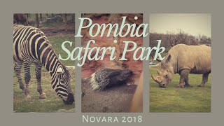 Pombia Safari Park Day Tour