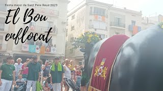 El Bou enflocat - Festa major de Sant Pere 2023