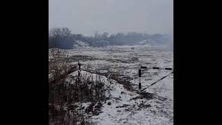 В Пугачеве горит стихийная свалка рядом с городским парком