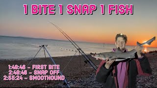 Ray & Smoothound Hunting - Selsey