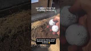 #golf #golfball #planting #crop #golfballs