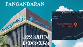 Aquarium Indonesia Pangandaran || Jawa Barat