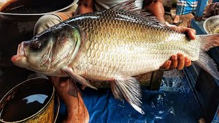 AMAZING ALIVE FISH Cutting Skill In Fish Market| Fast Fish Cutting Skill In Fish Market MUST Watch 🔥