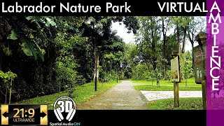 Labrador Park #labradorpark #ultrawidewalk #DJI #pocket2 #3dsound #4kwalk #ASMR #sgwalk #nparks