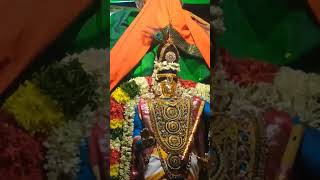 அரியலூர் கிருஷ்ணன் கோவில் தேரோட்டம்#ariyalur #ariyalur #live #kovil