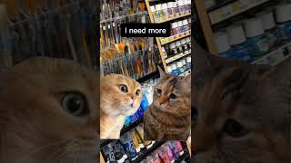 Pov: Me every time in art store: