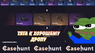 CASE HUNT. Не перестаёт удивлять очень большим окупом. #opencase #casehunt #cs2 #csgo #recommended