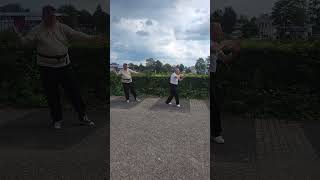 Training Tai Chi Chuan 楊氏太極拳 Yang 108 Form Yang Cheng Fu