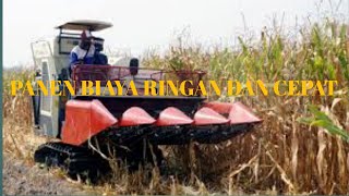 MESIN PEMANEN JAGUNG MODERN