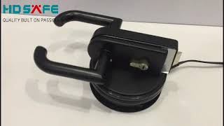 Double Swinging Glass Door Lock Matte Black