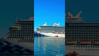 Majestic Princess in the Bay of Islands #shorts #newzealand #princesscruises