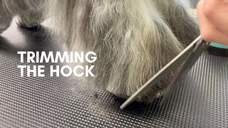 TRIMMING THE HOCK | THE BASICS | DOG GROOMING