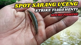 Microfishing - Mancing Uceng Pas Disarangnya Sambaran Tiada Henti  Spot Sungai Kecil Sleman Timur