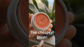 😍Trying out the *CHEAPEST BLUSH*| Only Rs.80!!🤯🤯