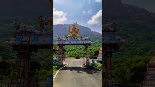 Vaade Malleshwara Gudi Beta Majestic entrance #shortsfeed  #youtubeshorts