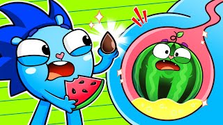 Watermelon Is Growing In My Tummy 🍉🙀 | Songs for kids 🎶| Baby Zoo | Baby Cars