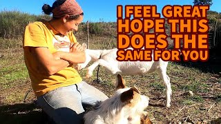 Body rub for a goat and a dog - Life on a farm in Portugal