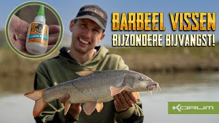 BARBEEL VISSEN | BIJZONDERE BIJVANGST | TIM JANSSEN