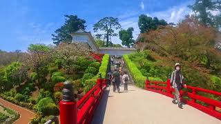 Beautiful japanese castle【4K】Walking street Odawara castle