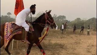 जब एक महाराज घोड़ा मैदान में उतरे तो देखने उमड़ी भीड़ ! भोमराम जी महाराज 🚩 bhomaram ji maharaj