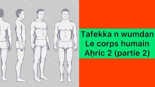 Timsirin s teqvaylit 06; tafekka n wumdan - le corps humain en kabyle A.2