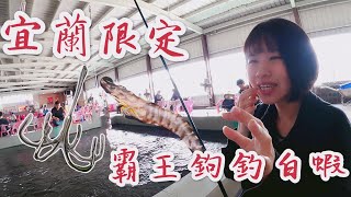 【霸王勾釣白蝦】宜蘭限定白蝦初體驗大又甜! 郁樂釣蝦場 台湾のエビ Shrimp fishing in Taiwan 대만에서 낚시