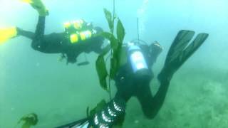 Clint Walker La Jolla Shores Scuba Dive 10 7  2012