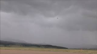 Super windy Albatross flight