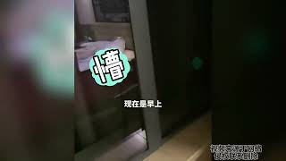 女子退房时拉开窗帘惊呆了，猜中了开头没猜中结尾