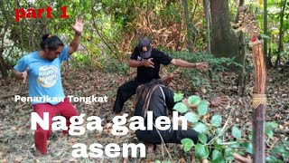 PENARIKAN TONGKAT NAGA GALEUH ASEM # PART 1