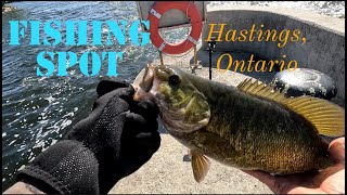 Hastings, Ontario, Canada Fishing. Catch and Release!