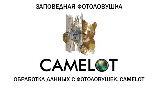 Обработка данных с фотоловушек в программе Camelot