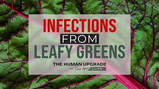 Infections Found in Leafy Greens | Dr. Steven Gundry x Dave Asprey