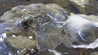 Shawnee National Forest Frozen Falls