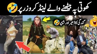 PM Shahbaz Sharif bongies Vs  Maryam Nawaz Bongies || Funny pakistani Politicians || Israr Info tv