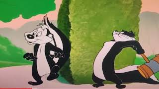 PEPE LE PEW, PÉPÉ LE PUTOIS EST UNE MOUFFETTE.  #clichés #anthropomorphisme #harcèlement #cancelled