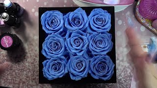 Review Rose Forever New York - Essential Blue Square Black Velvet Preserved Roses