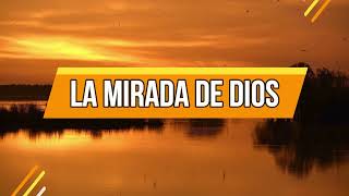 La mirada de Dios | 6 De Agosto| La Buena Semilla 2024 | Meditaciones Cotidianas