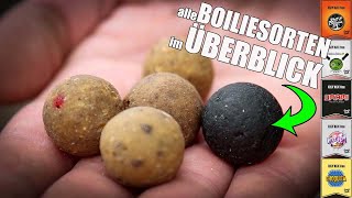 Dreambaits Readymade Range - Alle Readymade Boilies zum Karpfenangeln auf einen Blick vorgestellt!