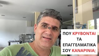 Πού κρύβονται τα επαγγελματικά σου καναρίνια;