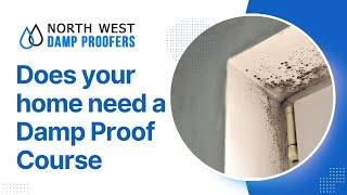 Does your home needs a Damp Proof Course?